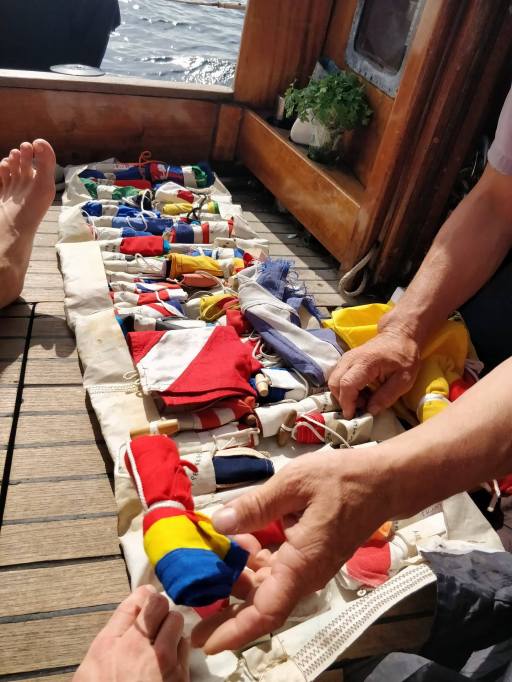 23379599_10214671895336345_942117125_o